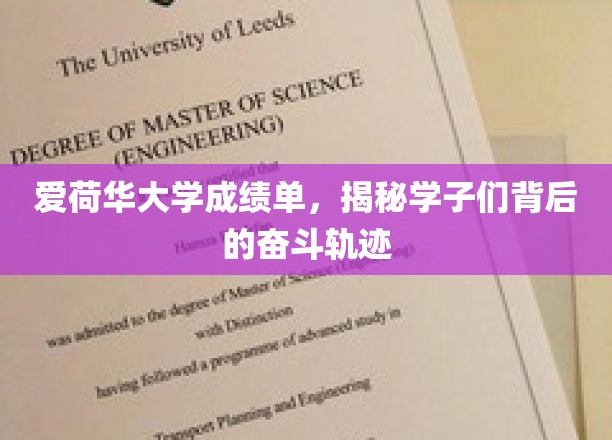 爱荷华大学学子，揭开成绩单背后的砥砺前行