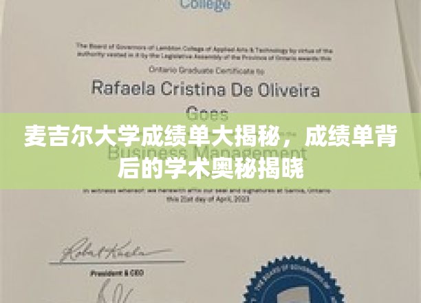 麦吉尔大学成绩单大揭秘，成绩单背后的学术奥秘揭晓