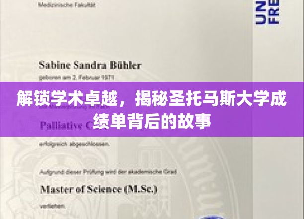 探寻圣托马斯大学卓越成就背后的秘密