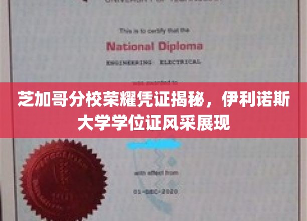 芝加哥分校荣耀凭证揭秘，伊利诺斯大学学位证风采展现