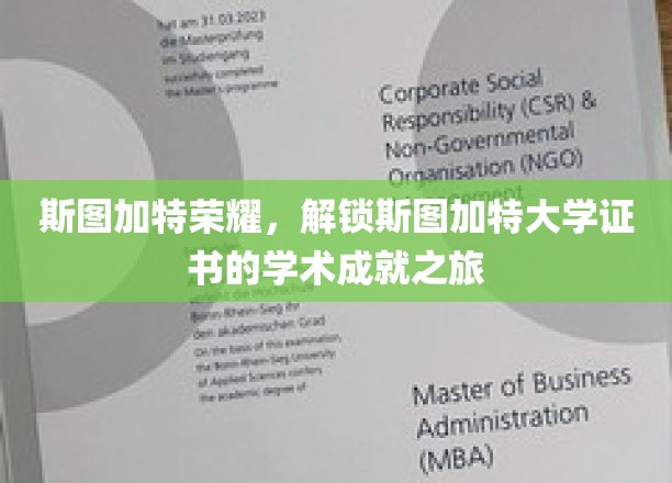 探索斯图加特大学成就，斯图加特荣耀之旅揭秘！