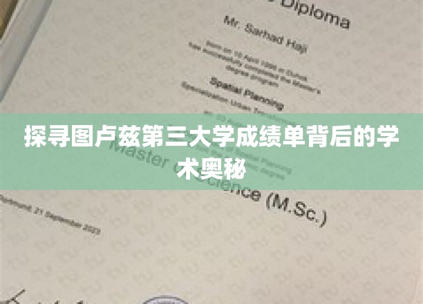 解码图卢兹第三大学成绩单，揭秘学术成就的秘密之门