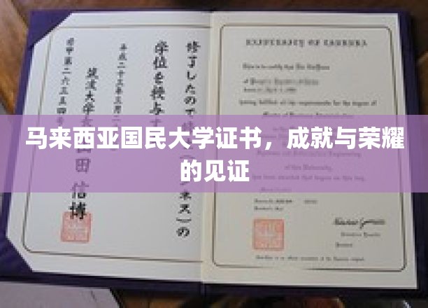马大荣耀，证书背后的成就与梦想之旅