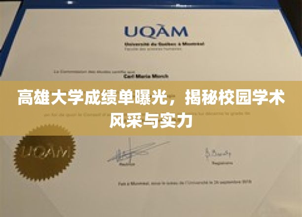 高雄大学成绩单揭秘，一窥学术实力与校园风采