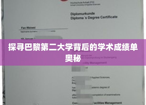 巴黎第二大学，揭秘其学术成就的秘密武器
