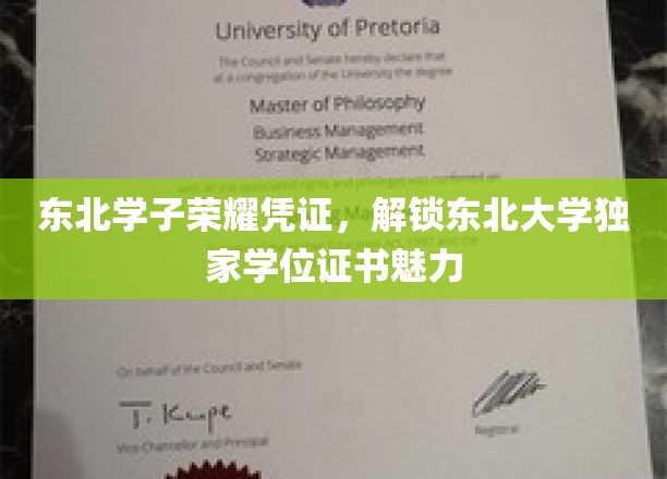东北学子荣耀凭证，解锁东北大学独家学位证书魅力
