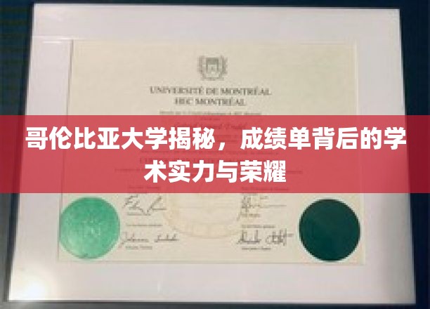 哥伦比亚大学，揭秘学霸背后的学术辉煌与荣耀之路
