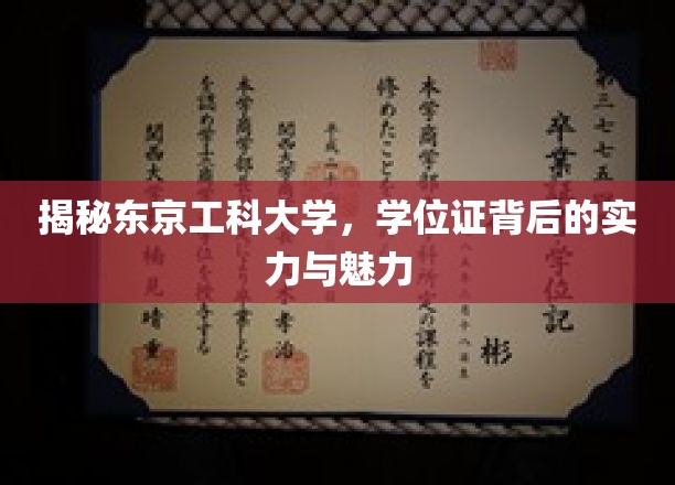 揭秘东京工科大学，学位证背后的实力与魅力