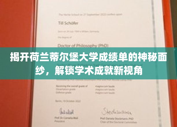 揭开荷兰蒂尔堡大学成绩单的神秘面纱，解锁学术成就新视角