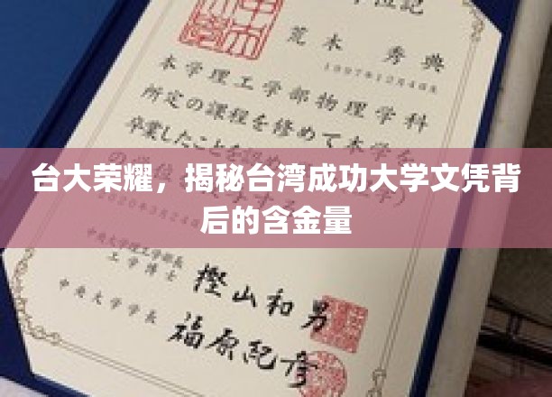 台大荣耀，揭秘台湾成功大学文凭背后的含金量