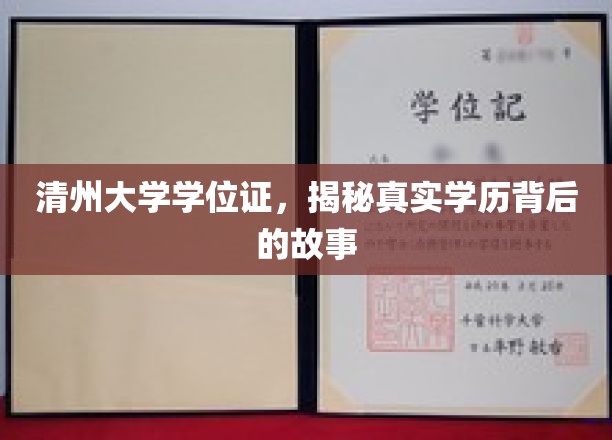 清州大学学历之谜，探寻学位证书背后的真实历程