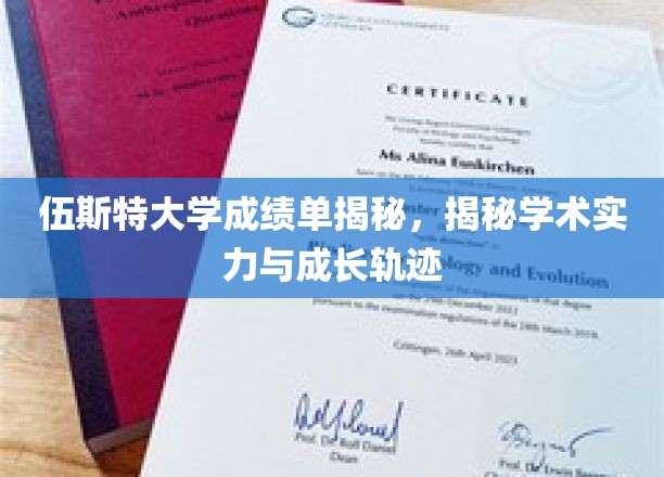 伍斯特大学，成绩单背后的学术实力与成长轨迹大揭秘