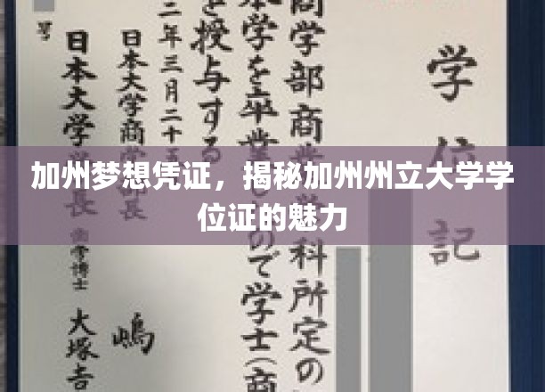 加州学位宝典，探寻加州州立大学证书的独特魅力