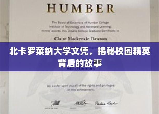 探寻北卡罗莱纳大学精英背后的传奇学历之路