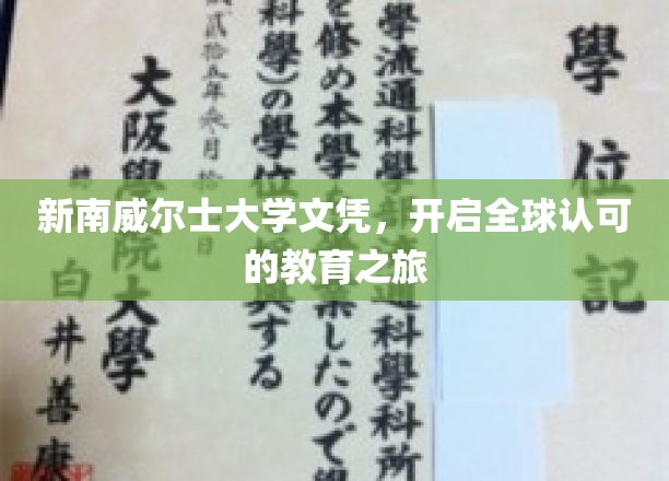 跨国文凭通行证，新南威尔士大学助你驾驭全球教育舞台