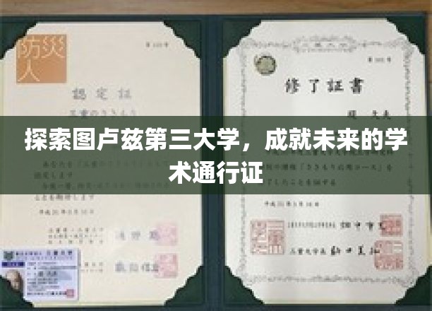 解码图卢兹第三大学，开启学术旅程的黄金钥匙