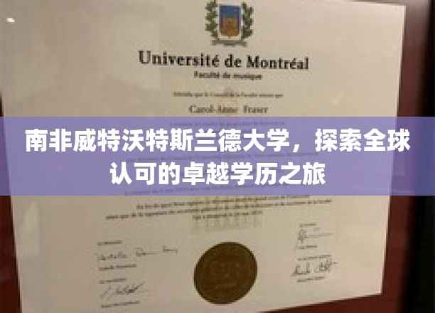 穿越南非威特沃特斯兰德，解锁国际认可的卓越教育之旅