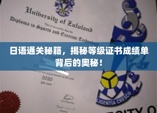 日语通关秘籍，揭秘等级证书成绩单背后的奥秘！