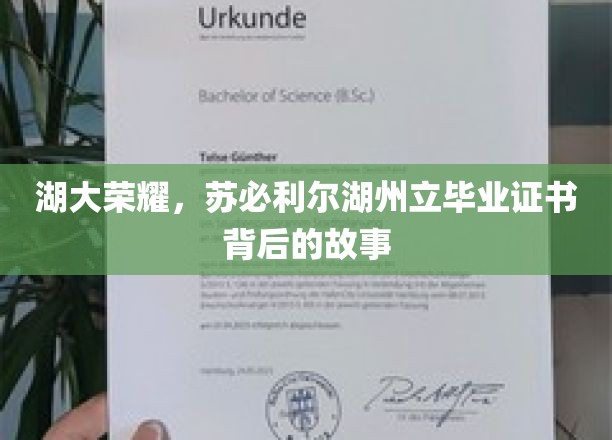 湖大传奇，揭秘苏必利尔湖州立证书背后的辉煌历程