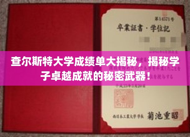 查尔斯特大学成绩单大揭秘，揭秘学子卓越成就的秘密武器！