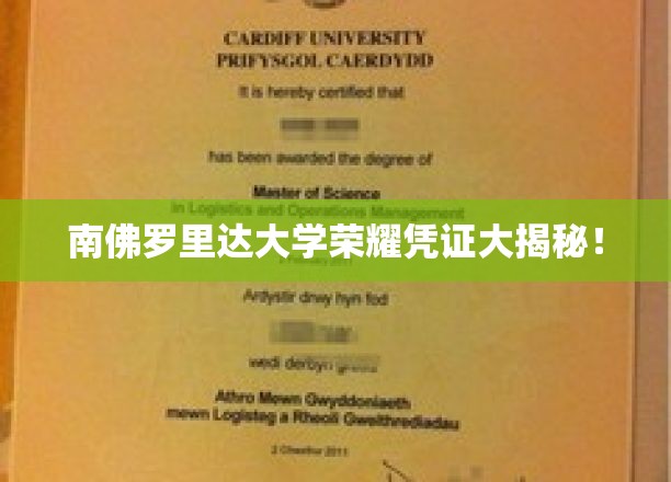 探寻南佛罗里达大学神秘荣耀凭证背后的故事