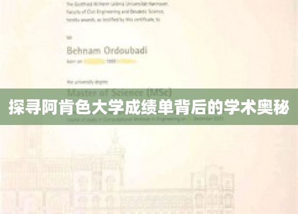 揭秘阿肯色大学成绩单的学术密码