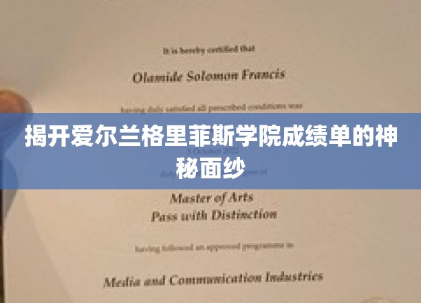 揭开爱尔兰格里菲斯学院成绩单的神秘面纱