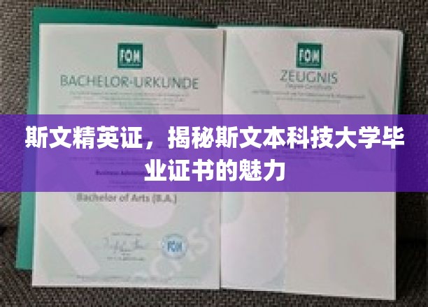斯文本科技学府证书，解锁精英未来的神秘钥匙
