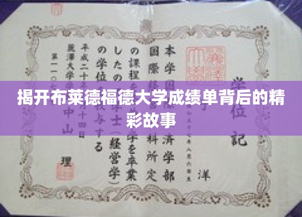 揭开布莱德福德大学成绩单背后的精彩故事