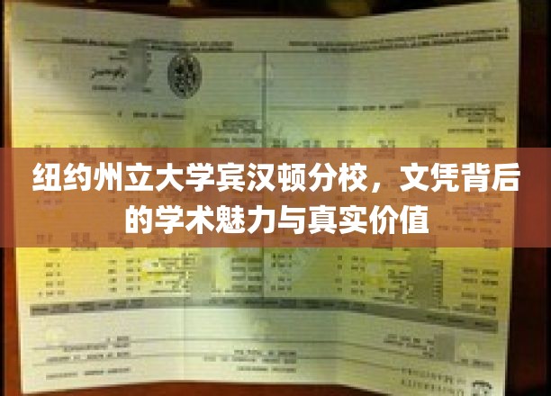 探索纽约州立大学宾汉顿分校，文凭背后的学术风采与深层价值