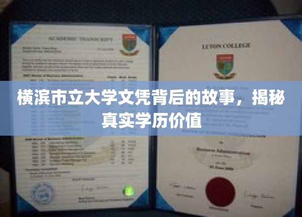 横滨市立大学文凭探秘，一纸学历背后的深层价值与真实影响