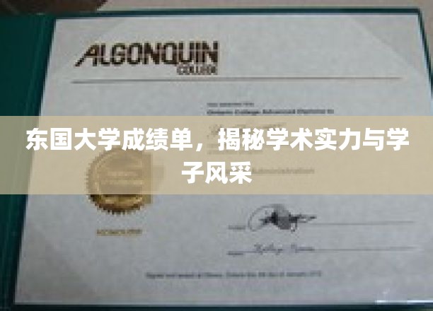 解码东国大学，成绩单背后的学术光芒与青春风采