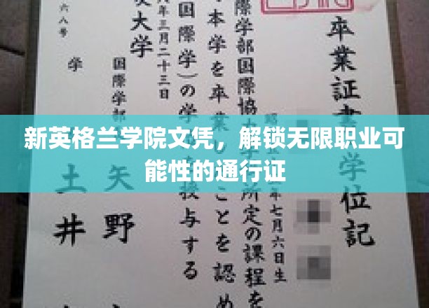 新英格兰学院文凭，开启多元化职业未来的钥匙