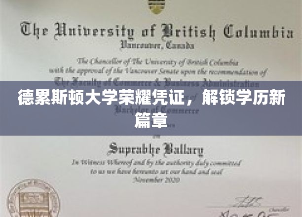 德累斯顿大学荣耀凭证，解锁学历新篇章