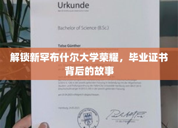 揭秘新罕布什尔荣耀，毕业证书背后的传奇故事