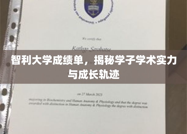 解码智利大学学子，成绩单背后的学术实力与成长故事