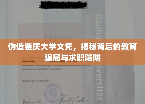 伪造学历背后的黑暗，釜庆大学文凭风波中的求职陷阱揭秘