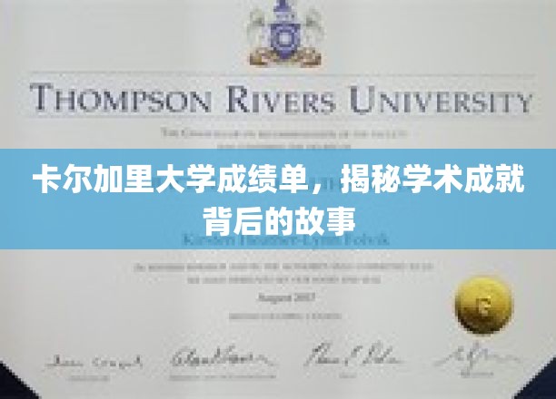 卡尔加里大学成绩单，揭秘学术成就背后的故事
