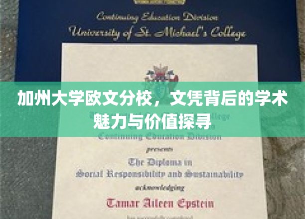 解码加州欧文，文凭背后的学术盛宴与无限可能