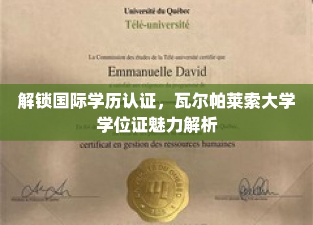 揭秘国际学历认证，瓦尔帕莱索大学学位证的魅力