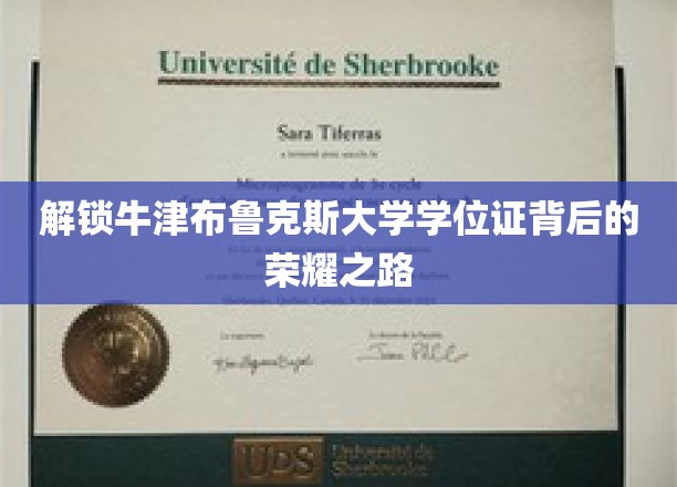 探寻牛津布鲁克斯大学学位证背后的荣耀之路