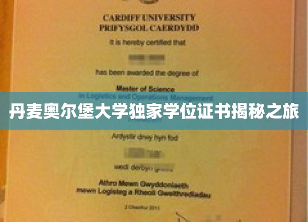 探寻丹麦奥尔堡大学学位证书背后的秘密之旅