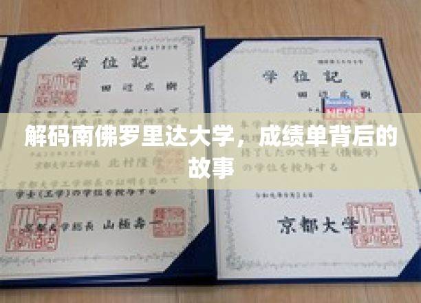 南佛罗里达大学揭秘，揭开隐藏在成绩单背后的精彩人生篇章