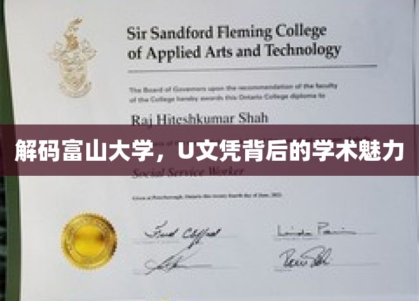 解码富山大学，U文凭背后的学术魅力