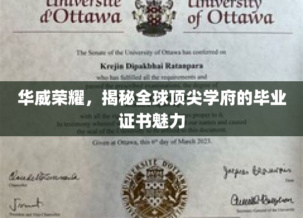 华威荣耀，揭秘全球顶尖学府的毕业证书魅力