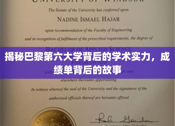 探寻巴黎第六大学卓越成就的神秘面纱