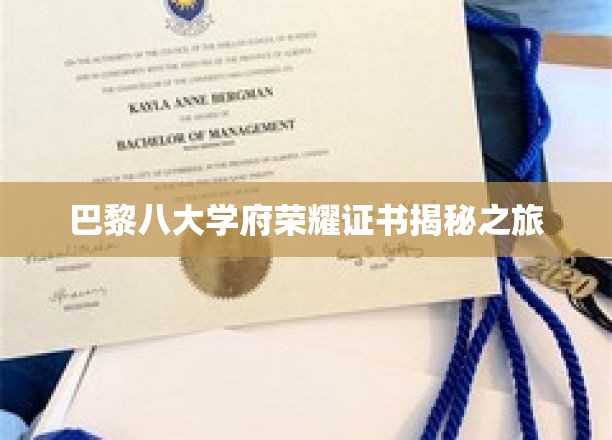 探索巴黎八大学府，荣耀证书背后的传奇故事