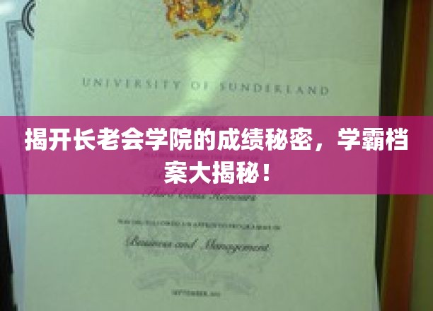 揭开长老会学院的成绩秘密，学霸档案大揭秘！