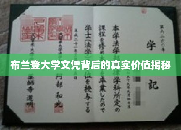揭开布兰登大学文凭的深层价值之谜