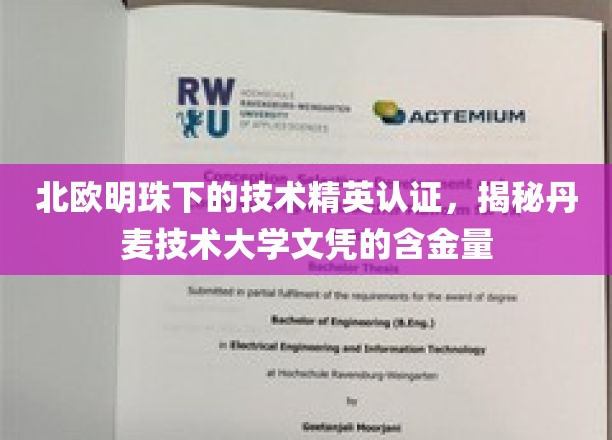 探寻丹麦技术大学文凭的璀璨价值，北欧明珠下的精英认证之路